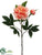 Peony Spray - Salmon - Pack of 12