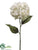 Hydrangea Spray - Pearl - Pack of 6