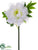 Peony Spray - White - Pack of 12