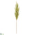 Pampas Grass Spray - Green - Pack of 6