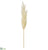 Pampas Grass Spray - White - Pack of 6