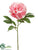 Peony Spray - White - Pack of 12