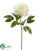 Peony Spray - White - Pack of 12