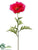 Poppy Spray - Fuchsia - Pack of 12