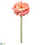 Peony Spray - Coral - Pack of 12