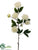 Peony Spray - White - Pack of 12