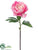 Peony Spray - Pink Cream - Pack of 24