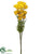 Poppy Bundle - Yellow - Pack of 12