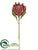 Protea Spray - Burgundy - Pack of 12