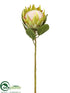 Silk Plants Direct Protea Spray - Green - Pack of 12