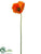 Poppy Spray - Flame - Pack of 12