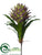 Protea Spray - Green Mauve - Pack of 24