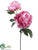 Peony Spray - Cerise Two Tone - Pack of 12