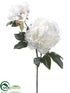 Silk Plants Direct Peony Spray - Cream - Pack of 12