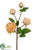 Peony Rose Spray - Peach - Pack of 12