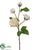 Peony Rose Spray - White - Pack of 12