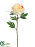 Silk Plants Direct Pearl Peony Spray - Cream Rubrum - Pack of 12