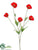 Prairie Poppy Spray - Watermelon - Pack of 12