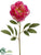 Peony Spray - Fuchsia Cream - Pack of 12