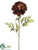 Peony Spray - Coffee - Pack of 12