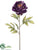 Peony Spray - Purple Dark - Pack of 12