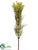 Jungle Protea Spray - Green Cream - Pack of 12