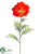 Poppy Spray - Flame - Pack of 12