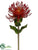 Protea Spray - Orange - Pack of 12