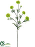 Silk Plants Direct Pom Pom Spray - Lime - Pack of 12