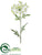 Queen Anne's Lace Spray - White - Pack of 12