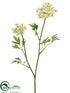 Silk Plants Direct Queen Anne's Lace Spray - White - Pack of 12