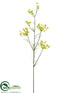 Silk Plants Direct Queen Anne's Lace Spray - Yellow - Pack of 12