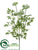 Queen Anne's Lace Spray - White - Pack of 6