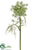 Queen Anne's Lace Spray - White Green - Pack of 12