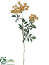 Silk Plants Direct Queen Anne's Lace Spray - Amber - Pack of 12