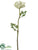 Queen Anne's Lace Spray - White - Pack of 12