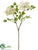 Silk Plants Direct Queen Anne's Lace Spray - Cream Green - Pack of 12