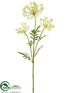 Silk Plants Direct Queen Anne's Lace Spray - Cream Green - Pack of 12