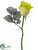 Rose Bud Spray - Green - Pack of 24