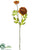 Ranunculus Spray - Rust - Pack of 12