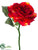 Rose Spray - Tomato Red - Pack of 24