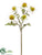 Silk Plants Direct Rudbeckia Spray - White - Pack of 12