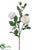 Rose Spray - White - Pack of 12