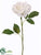 Rose Bud Spray - Cream - Pack of 12