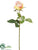 Silk Plants Direct Rose Spray - Peach - Pack of 24