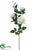 Rose Spray - Vanilla - Pack of 12