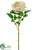 Rose Spray - Vanilla - Pack of 12