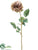 Rose Spray - Brown Mauve - Pack of 12