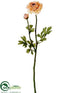 Silk Plants Direct Ranunculus Spray - Cream Peach - Pack of 12