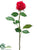 Rose Bud Spray - Beauty Two Tone - Pack of 12